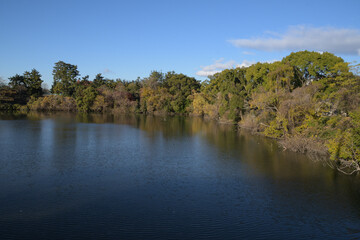 よく晴れた朝、色づいた木々に朝日があたり、風で水面が波立つ池の風景