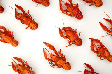 Crayfish-boiled river crayfish on a white background.Space for text.