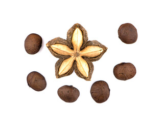 sacha inchi an isolated on white background