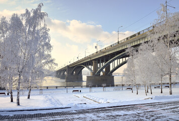 Fototapeta premium Michael's embankment in winter. Oktyabrsky bridge over the Ob river, birch trees in the snow, covered with frost