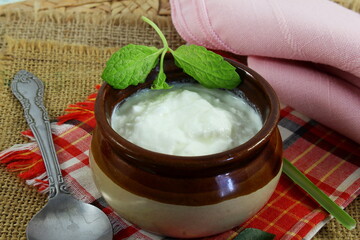 homemade indian dahi or curd,yogurt,sour cream in pot with spoon isolated