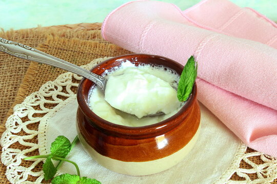 homemade indian dahi or curd,yogurt,sour cream in pot with spoon isolated