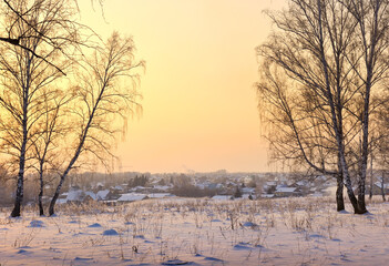 Winter evening in the suburbs. Snow glade in a birch grove, roofs of rural houses in the distance