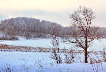 The shore of the lake in the winter. Bare trees in a snow field, ice on the water, hills in the distance