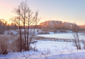 Winter field in the morning. Bare trees among drifts of snow, forest on the horizon