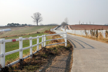 A farm road with white fences. 