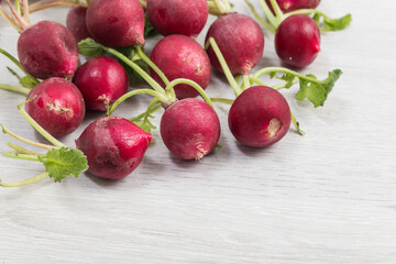 Take a close up of fresh and delicious radishes