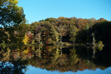 autumn in the park
