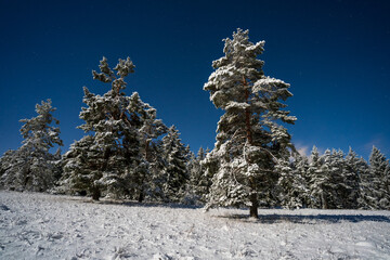 Winterlandschaft auf dem Russberg bei
 Tuttlingen
