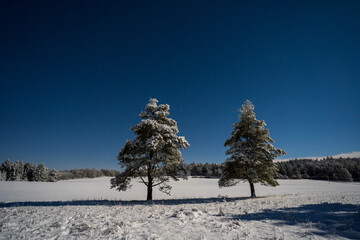 Winterlandschaft auf dem Russberg bei
 Tuttlingen