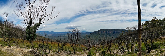 Beautiful panoramic view of mountains and valleys with burned out bushes and trees, Narrow Neck Lookout, Blue Mountain National Park, New South Wales, Australia
