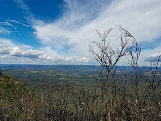 Beautiful view of mountains and valleys with burned out bushes and trees, Narrow Neck Lookout, Blue Mountain National Park, New South Wales, Australia
