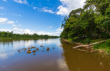 Obraz na płótnie Canvas Wilderness River Scenery In Suriname South America. Calm River View Along The Bergendal Brokopondo District.