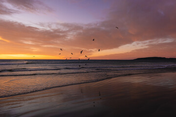 Romantic sunrise with birds flying above the waves