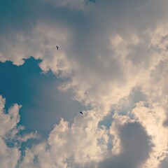clouds in the sky