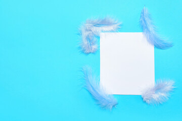 Blank paper sheet and feathers on color background