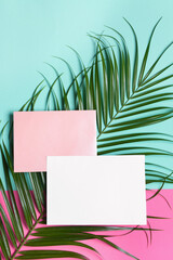 Blank paper sheets and green leaf on color background