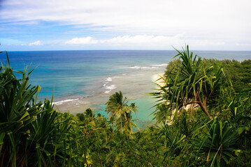 Fototapeta na wymiar beach with palm trees, end of the road beach, Kauai