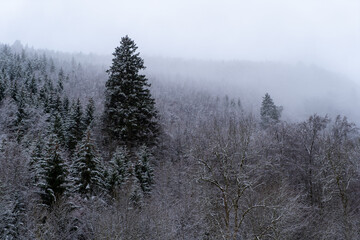 Oberes Donautal im Winter / Bei Beuron