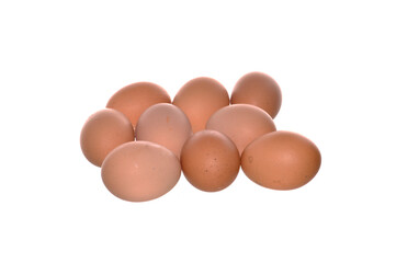 chicken egg isolated on white background