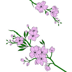 Cherry blossom branch, flower, bud, leave. Chinese, blossom, spring, Sakura, beautiful floral element. Flat vector illustration isolated om white background.