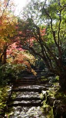 京都の秋、紅葉の中、山寺を歩く