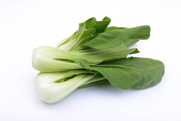 Mustard pakcoy or bok choy