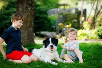 Naklejka na ściany i meble School kid boy and little toddler girl playing with family dog in garden. Two children, adorable siblings having fun with dog. Happy family outdoors. Friendship and love between pet animal and kids