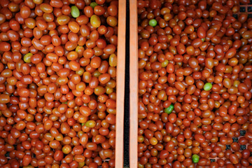 red tomatoes in plastic basket. tomato harvest from farm