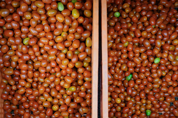 red tomatoes in plastic basket. tomato harvest from farm