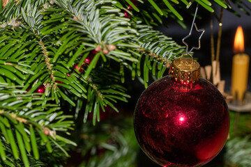 Weihnachtsschmuck und Kerzen aus Bienenwachs am Weihnachtsbaum.