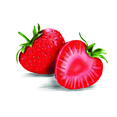  illustrazione acquerello di fragole disegnati a mano