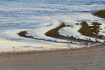 Low tide on the beach - Torquay, Victoria, Australia