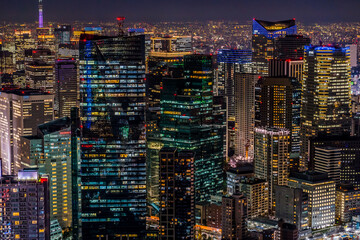 東京の夜景。世界最大の巨大都市（六本木周辺の高層ビル群）