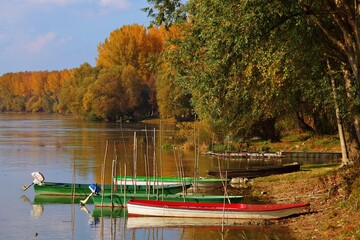 autumn by the Danube river in Vojvodina