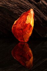 Beauty of natural raw amber. A piece of yellow-red transparent natural amber on piece of stoned wood