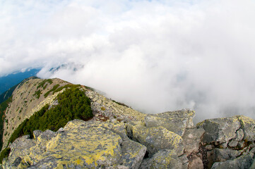 Fototapeta na wymiar Panorama of rocky mountains with fog and green alpine pine