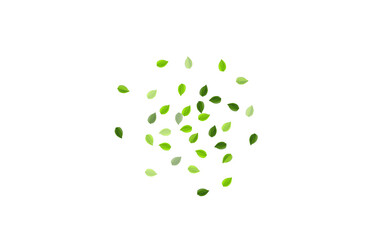 Lime Greens Abstract Vector Backdrop. Nature Leaf