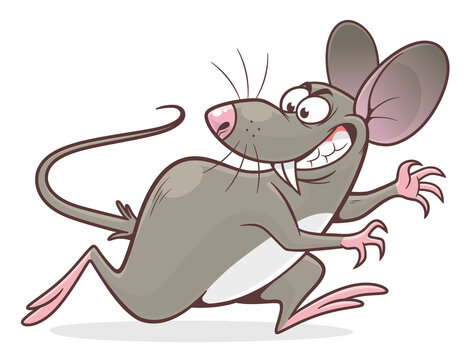Pest mouse cartoon vector illustration. Cartoon pest mouse series.