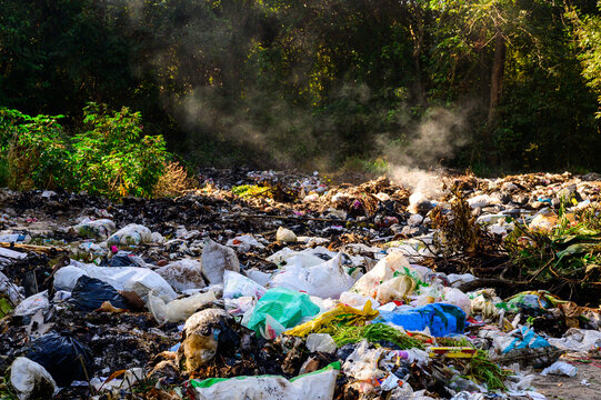 Garbage pollution from small towns  Incinerated and disposed of incorrectly A source of pollution And spread the disease.Smoke of burning garbage into the air- pollution from waste garbage .