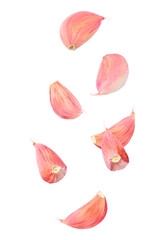 Garlic cloves isolated in the air on white background
