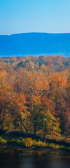 Beautiful panorama of the autumn forest, on the mountain hills.
