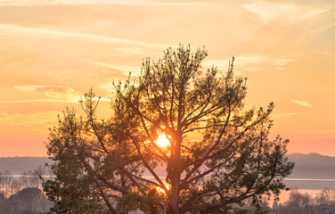 Il sole di inverno tramonta dietro un albero