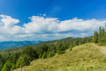 Fototapeta na wymiar highland mountain ridge summer forest landscape of June clear weather day time natural environment space in Eastern Europe region