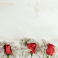 red and white flowers with copy space on top