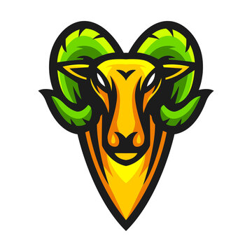 Goat head mascot logo sport vector. Goat head vector illustration.
