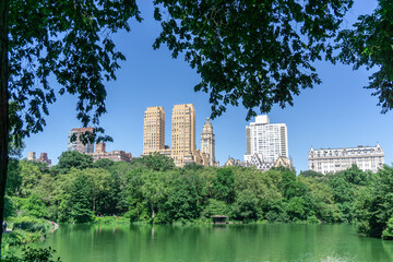 Fototapeta na wymiar Central Park, the heart of New York with a lush forest