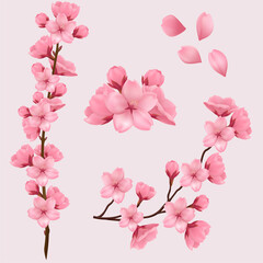 Spring sakura cherry blooming flowers, pink petals and branches vector set for your own design.Realistic set of beautiful sakura branches flowers and petals isolated on pink background. Eps 10