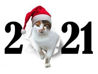Katze mit Weihnachtsmütze steigt durch die Jahreszahl 2021