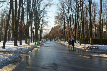 Fototapeta premium Park nature, alley with people walking by, sunny winter weekend day.